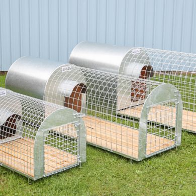 Dog kennels and runs