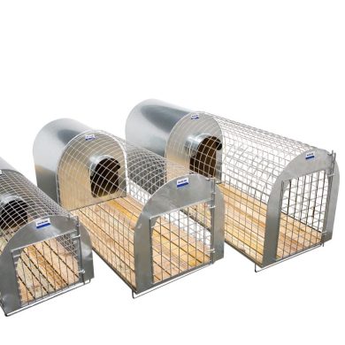Dog kennels and runs